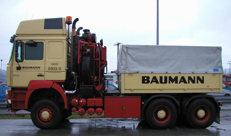Baumann MAN F2000 33.604 - Copyright: www.olli80.de