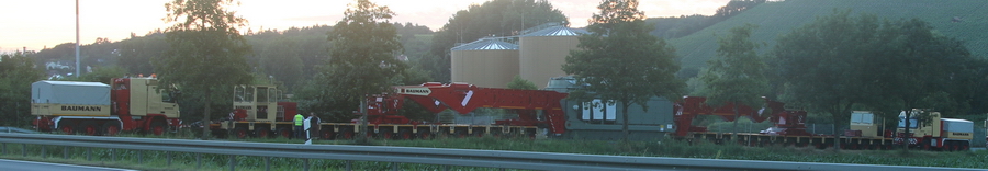 Baumann - Copyright: www.olli80.de