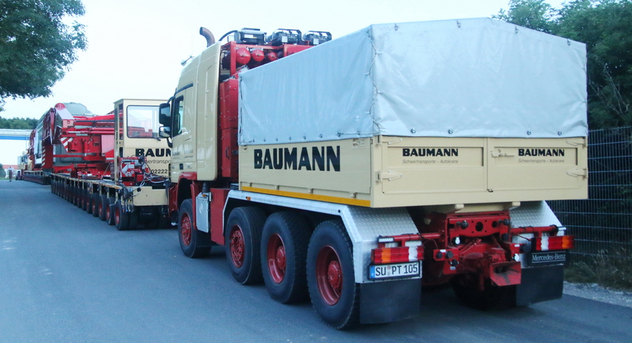 Baumann  Copyright: www.olli80.de