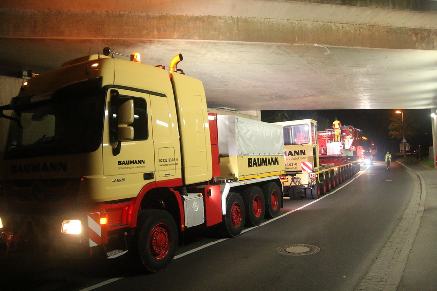 Baumann  - Copyright: www.olli80.de