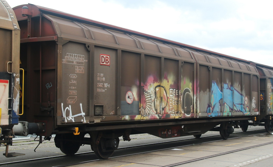 21 80 2462 187-0  Hbbillns<sup>305</sup> - Copyright: www.olli80.de
