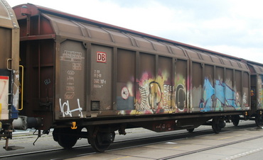 Hbbillns<sup>305</sup>