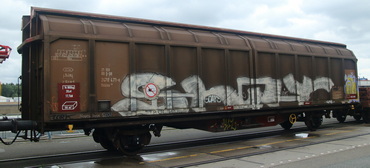 Hbbins<sup>306</sup>